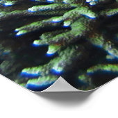 Resting Titan Poster (Hoek)