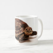 Resting Tortoise Koffiemok (Voorkant rechts)