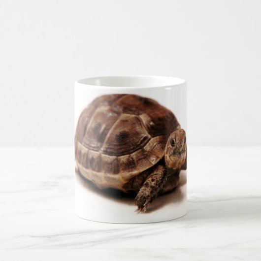 Resting Tortoise Koffiemok (Center)