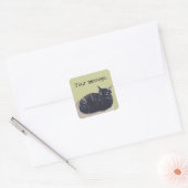 Resting Tortoise Shell Cat Uw Bericht Stickers (Envelop)