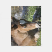 Resting Wild Pony Fleece Deken (Voorkant)