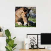 Resting Wild Pony Poster (Thuiskantoor)