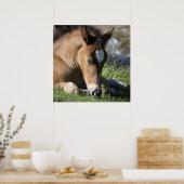 Resting Wild Pony Poster (Keuken)