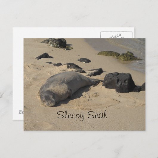 Resting Zee Lion Briefkaart (Voorkant / Achterkant)