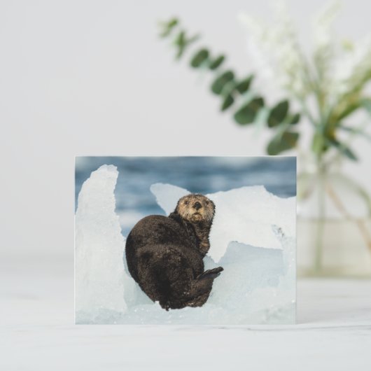 Resting Zee Otter Briefkaart (Staand voorkant)