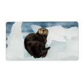 Resting Zee Otter Etiket (Voorkant)