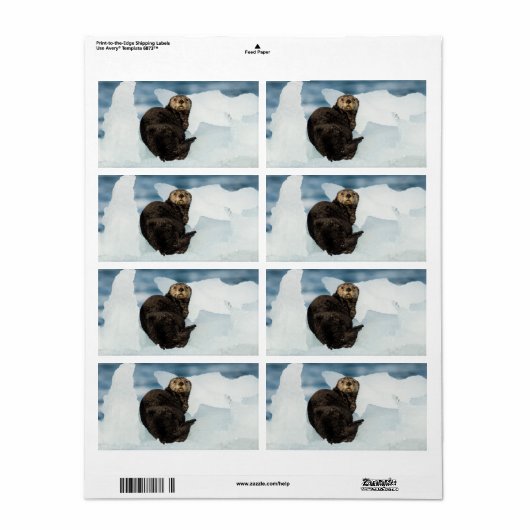 Resting Zee Otter Etiket (Full Sheet)