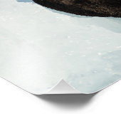 Resting Zee Otter Foto Afdruk (Hoek)