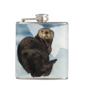 Resting Zee Otter Heupfles (Voorkant)