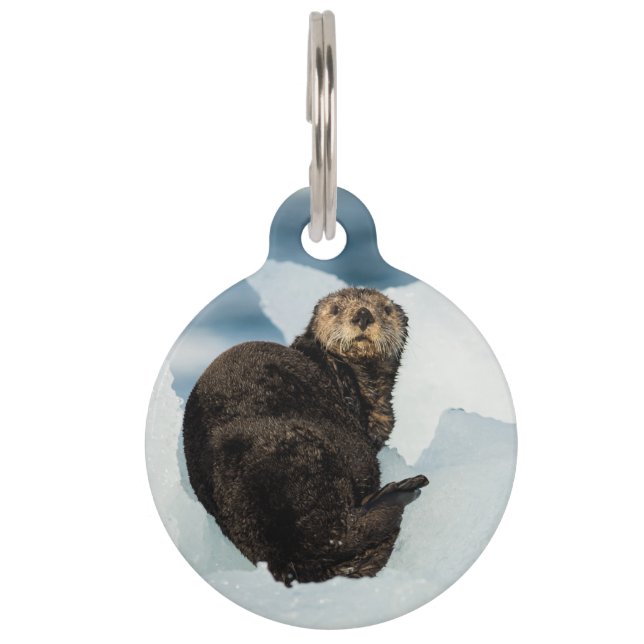 Resting Zee Otter Huisdierpenning (Voorkant)