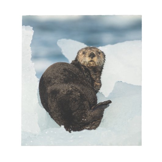 Resting Zee Otter Notitieblok (Voorkant)