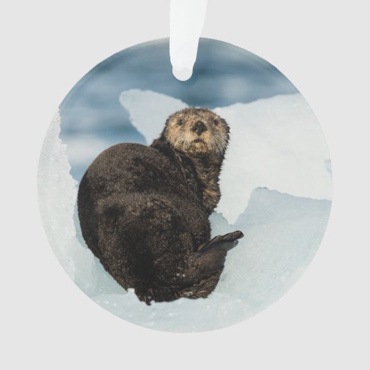 Resting Zee Otter Ornament (voorkant)