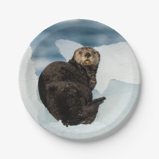 Resting Zee Otter Papieren Bordje (Voorkant)