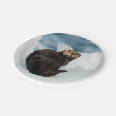 Resting Zee Otter Papieren Bordje (Gekanteld)