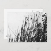 Restio / Grijze zwart en silhouet Briefkaart (Voorkant / Achterkant)