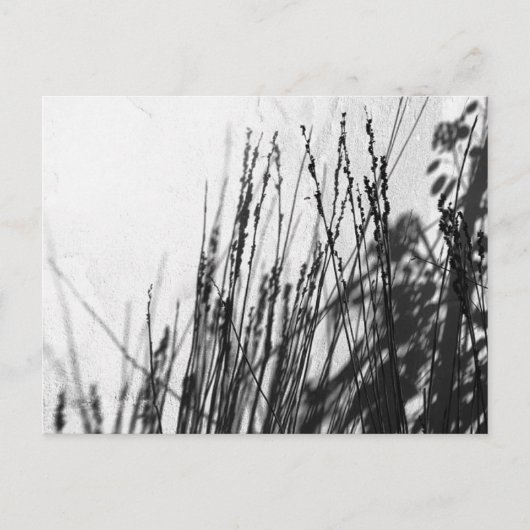 Restio / Grijze zwart en silhouet Briefkaart (Voorkant)