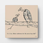 Restjes Fotoplaat (Voorkant)