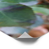 resultaten van de herfst poster (Hoek)