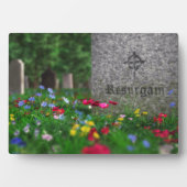 Resurgam Plaque Fotoplaat (voorkant)