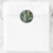 Resurrectie Fern - Polypodium polypodioides Ronde Sticker (Tas)