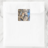 resus macaque monkey kijkt op vierkante sticker (Tas)