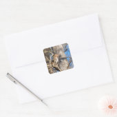 resus macaque monkey kijkt op vierkante sticker (Envelop)