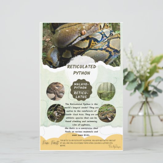 Reticulair Python-zorgblad (Staand voorkant)