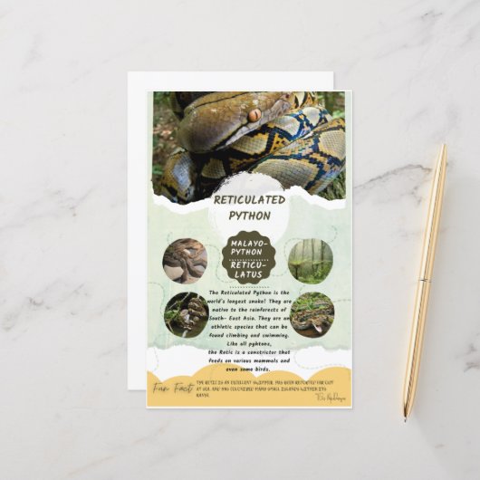 Reticulair Python-zorgblad (Voorkant / Achterkant in situ)