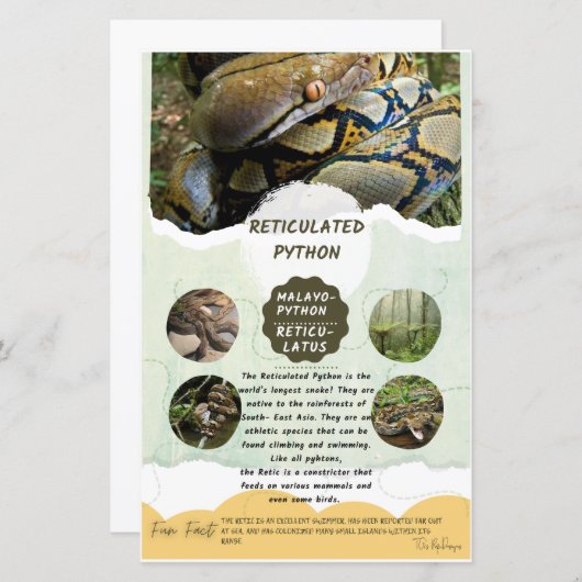 Reticulair Python-zorgblad (Voorkant / Achterkant)