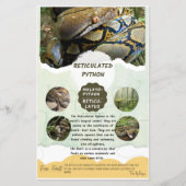 Reticulair Python-zorgblad (Voorkant)