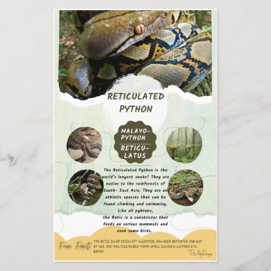 Reticulair Python-zorgblad (Voorkant)