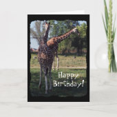 Reticulated Giraffes Birthday Card Kaart (Voorkant)