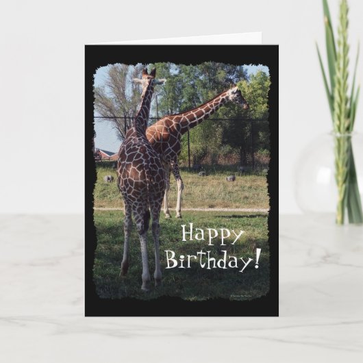 Reticulated Giraffes Birthday Card Kaart (Voorkant)
