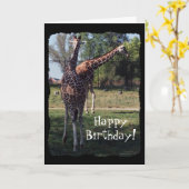 Reticulated Giraffes Birthday Card Kaart (Gele Bloem)