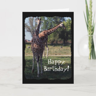 Reticulated Giraffes Birthday Card Kaart