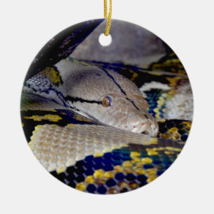 Reticulatie Python Snake Keramisch Ornament