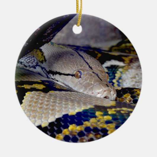 Reticulatie Python Snake Keramisch Ornament (Voorkant)