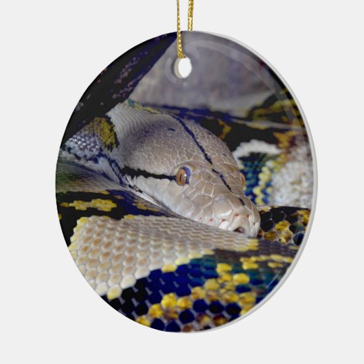 Reticulatie Python Snake Keramisch Ornament (Links)