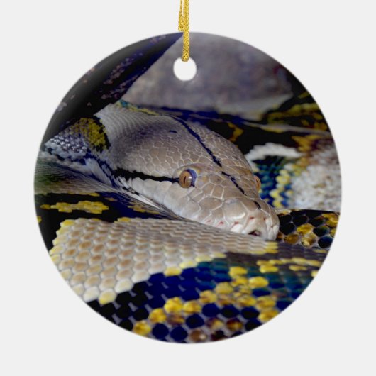 Reticulatie Python Snake Keramisch Ornament (Achterkant)
