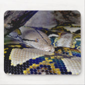 Reticulatie Python Snake Muismat (Voorkant)