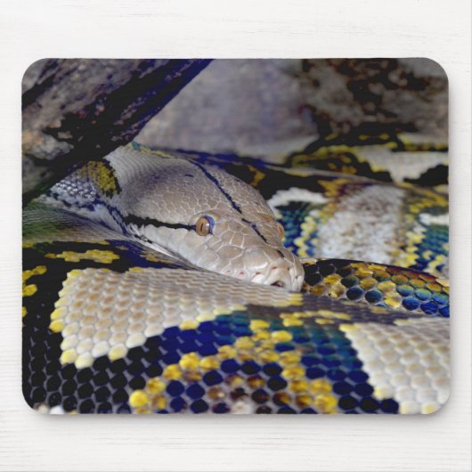Reticulatie Python Snake Muismat (Voorkant)