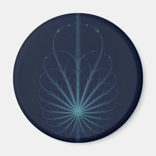 reticulum magneet (Voorkant)