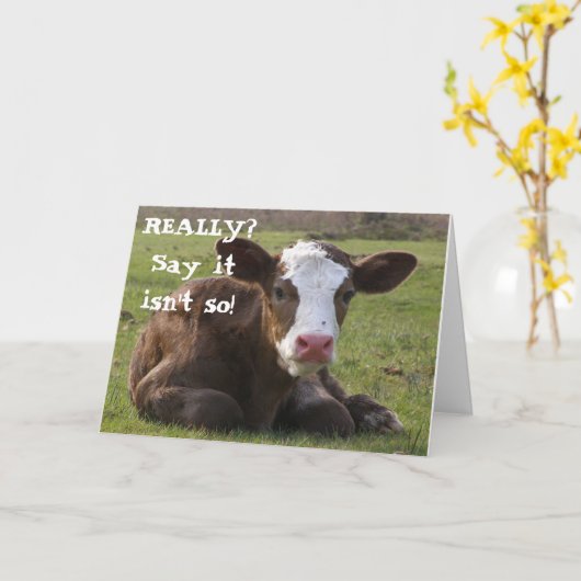 ***RETIMENT*** IS IETS WAAROVER MOET WORDEN GEBRAC KAART (Gele Bloem)