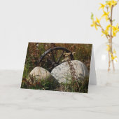 Retired Kaart (Gele Bloem)