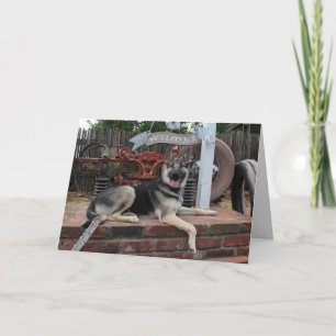 Retirement Lucky Dog German Shepherd Card Kaart