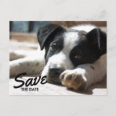 Retirement Party Replaceable Photo Save The Date Aankondigingskaart (Voorkant)