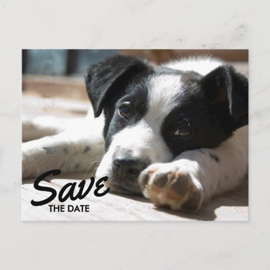 Retirement Party Replaceable Photo Save The Date Aankondigingskaart (Voorkant)