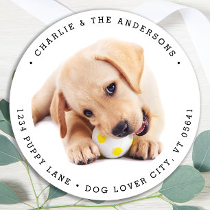 Retour Adres Eenvoudige Aangepaste Puppy Dog Foto Ronde Sticker