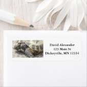 Retour Mailing Adresetiketten met Schattige Turtle Etiket (Insitu)