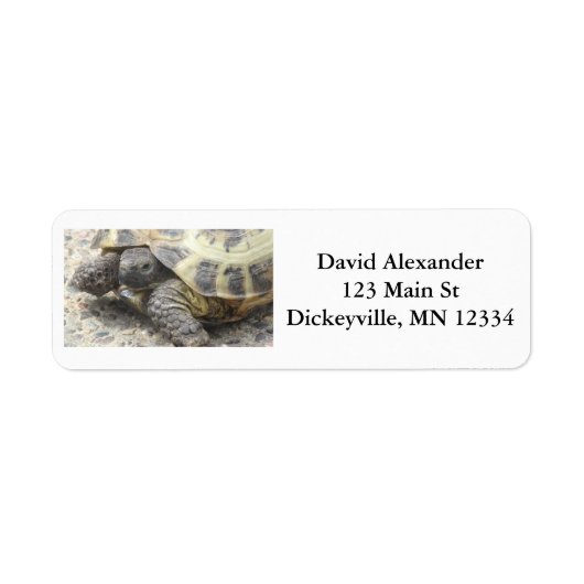 Retour Mailing Adresetiketten met Schattige Turtle Etiket (Voorkant)
